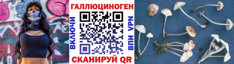 Галлюциногенные грибы GOLDEN TEACHER  KRAKEN ссылки  Владимир 